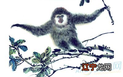 94年属男狗92年女猴_92年属猴生肖_2019年属猪的五行属什么生肖