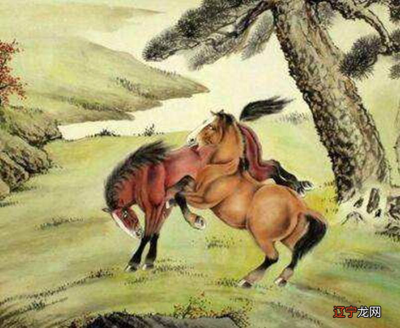 1978年马五行属什么_1978属马找什么生肖_1978年是属什么生肖