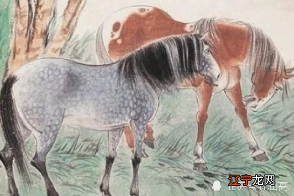 今年之内收获可不小,事业场上好的3大生肖