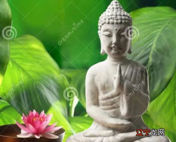 12月13号摆脱霉运,横财喜相随的生肖蛇