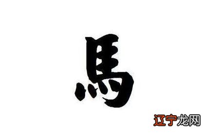 中国权威风水姓名预测网归纳整理12生肖起名字喜忌用字