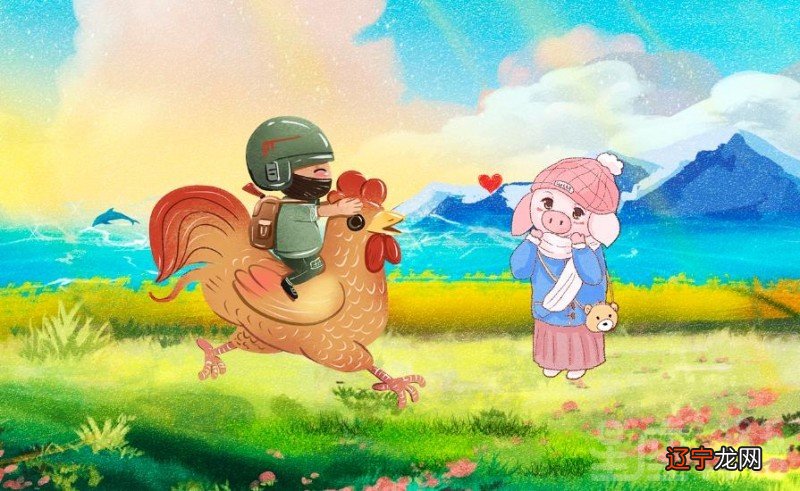 93年属鸡男和95年属猪女相配吗属相合不合适