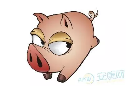 93年属鸡男和95年属猪女相配吗属相合不合适