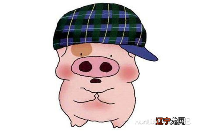 93年属鸡男和95年属猪女相配吗属相合不合适