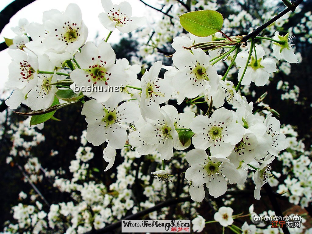 风水堂:怀孕的人梦见收到,好运和发财吉兆