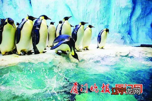 厦门老院子景区旅游景点有哪些？有什么作用？