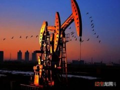 伊朗石油4美元一桶，中国每天进口50万桶，为何汽油还是频频涨价