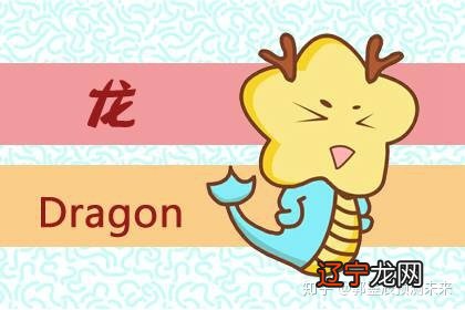 属蛇女和属龙男的婚姻配对情况如何?