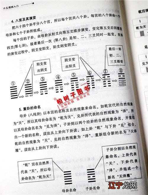 八字排盘app苹果版_周易排盘免费排八字_八字排盘南方周易苹果版