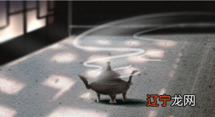 算命园:八字偏强说什么意思?好不好呢?