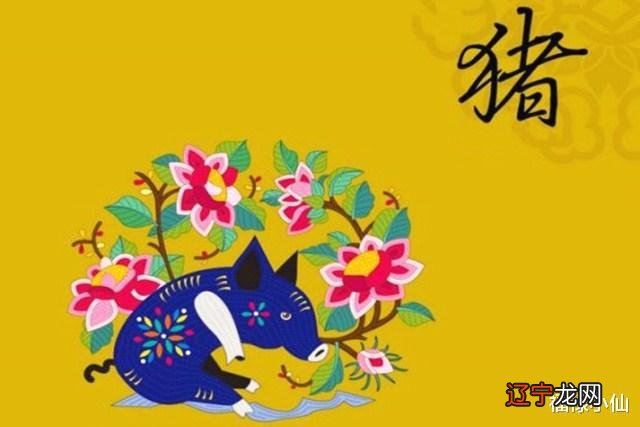 2018年生肖猪2月总运势：在2月份来讲