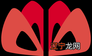 组图 一本:孩子眼中的中国年是什么样子的?