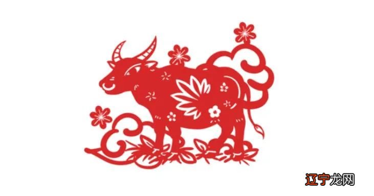 生肖属牛在2021年的总运势:牛