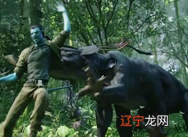 1.风水堂:梦见豺狼——会遇到倒霉的日子