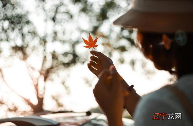 风象星座为什么没有王，风象星座谁是老大