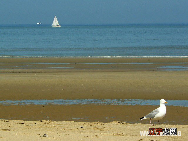 风水堂:梦见自己父亲去世的宜忌