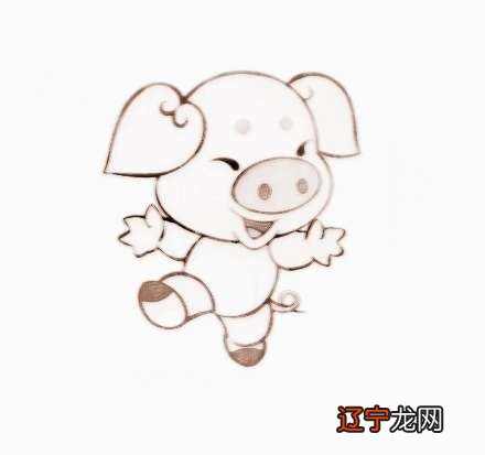 属猪风水堂:属猪的五行属性是什么