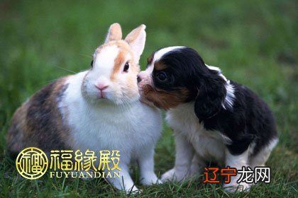 在一起的男孩会非常幸福快乐的婚配属相男是生肖男