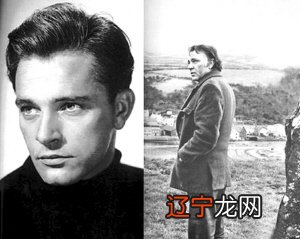 名人星座配对学家双鱼座