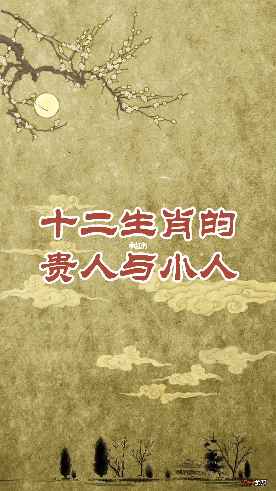 接下来风水堂:梦见男孩是小人还是贵人