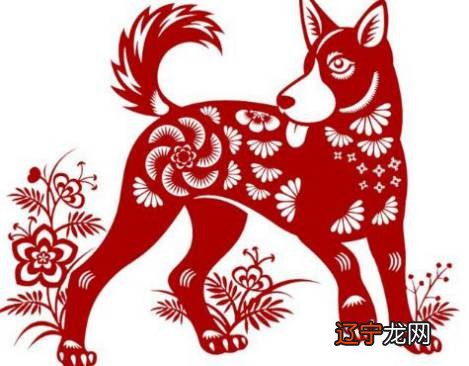 十二生肖风水堂：每一位守护神都有出生的时辰