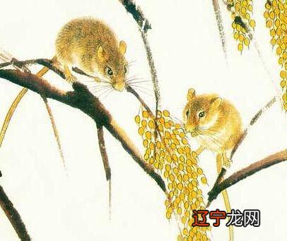 属鼠2018年属鼠人财运最好的月份,有你吗?