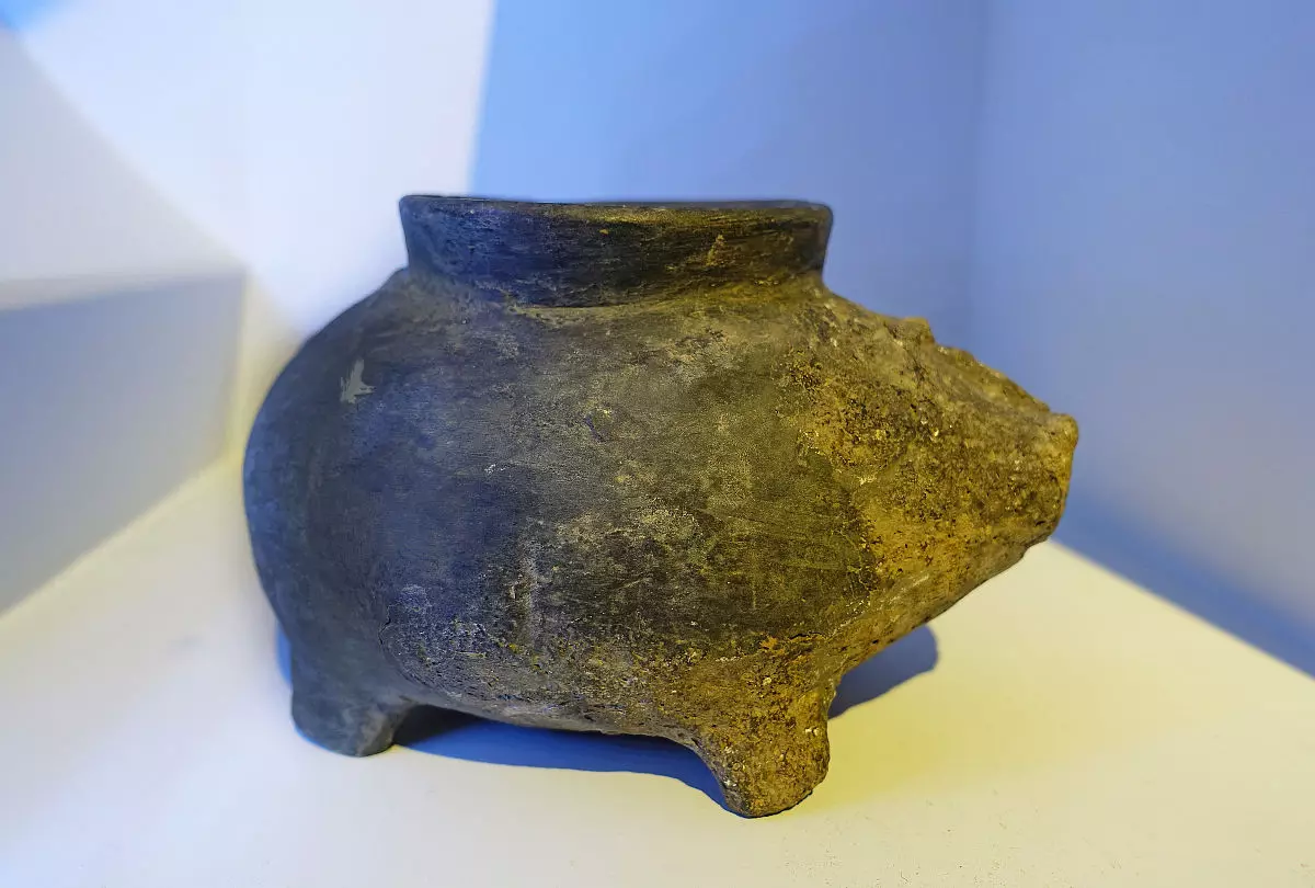 属猪2020年运势及运程详解和属猪的和什么属相最配