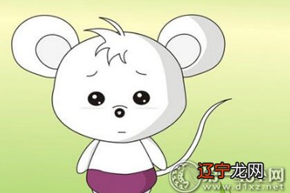 2022年属鼠人的年龄表来具体分析的生肖