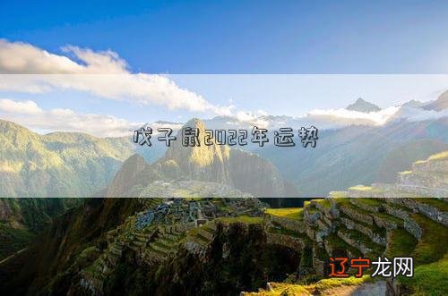 戊子鼠2022年运势