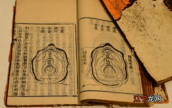 什么情况下能够子丑合化土 地支子和地支丑紧密相贴