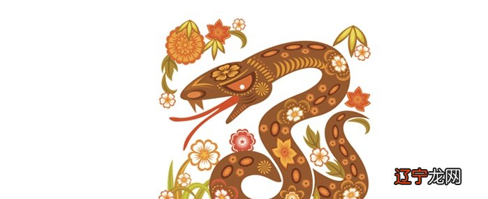 属蛇的和什么属相相冲,属牛的相冲属相