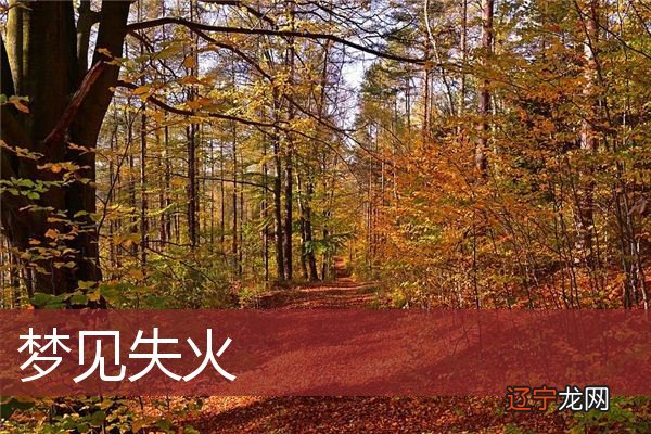 安康网周公解梦:梦见老房子失火,到底是凶是吉呢?