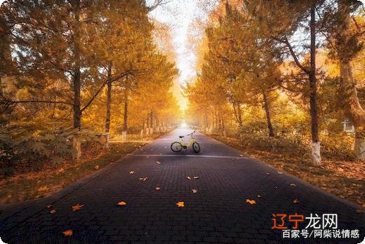 组图 九月出生的几月宝宝旺父母，旺家庭？