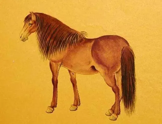 在十二生肖中，有哪几个生肖最容易出现富豪的生肖