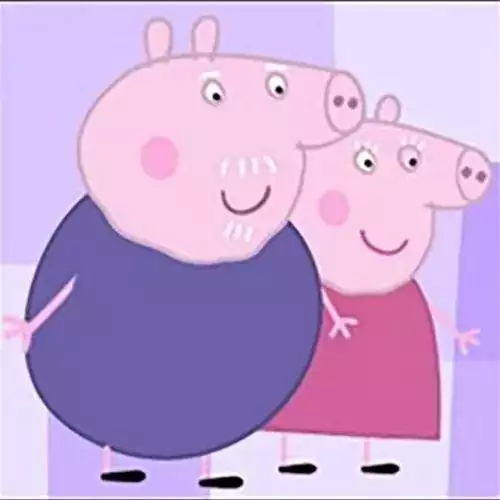 马爸和猪妈生啥属相宝宝好,属马母亲属羊