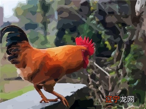 小编人一生的财运和价值观是什么样的呢?