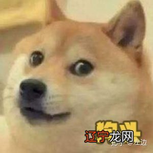 你们北方不都有暖气吗？是会便宜的