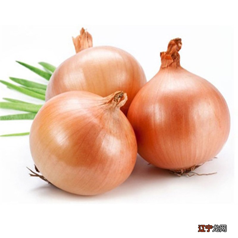 梦见葱是什么意思_梦见成片的葱_梦见成片的薰衣草花海