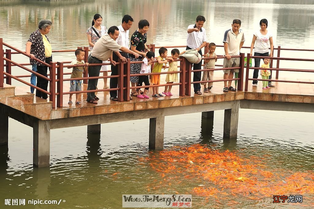 梦见衣服鞋 周新春易学网:梦见在水里的好坏含义,周公解梦大全