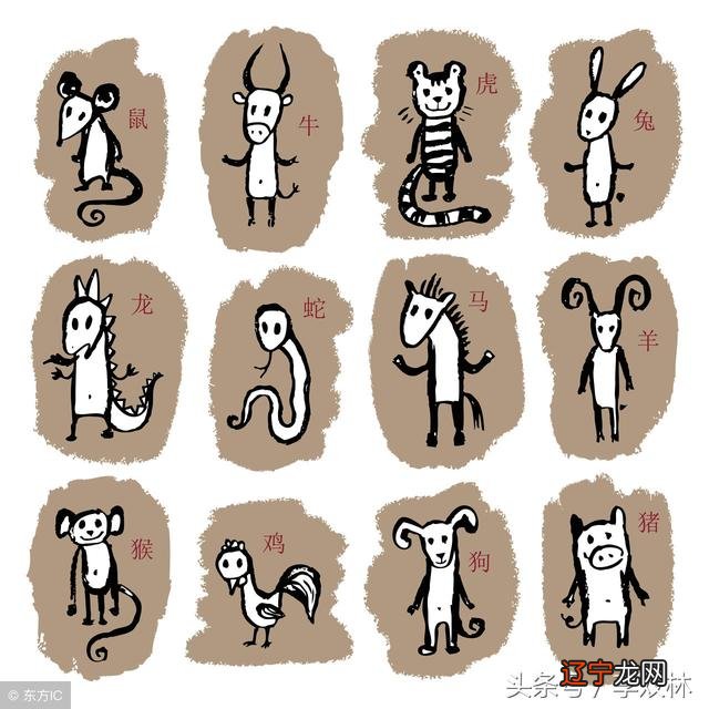 属相不合，就不能结婚吗，如何正确合婚？