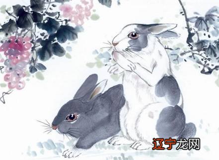 1963年属兔的人审辨官得,横财1波接1波