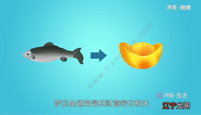 梦到别人网到鱼,预示着你将要为你手头的工作而不见