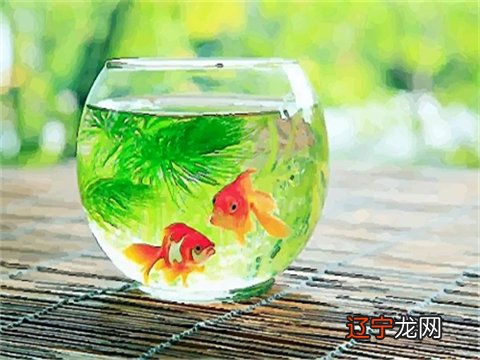 1.买房风水学入门须知风水房有哪些特征风水好的房屋如何布局