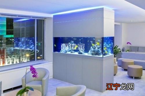 1.买房风水学入门须知风水房有哪些特征风水好的房屋如何布局