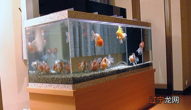 1.买房风水学入门须知风水房有哪些特征风水好的房屋如何布局