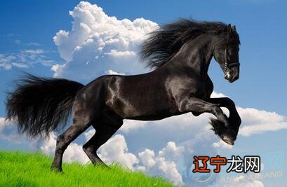 90年出生的属马人最苦，领悟天地之道的生肖