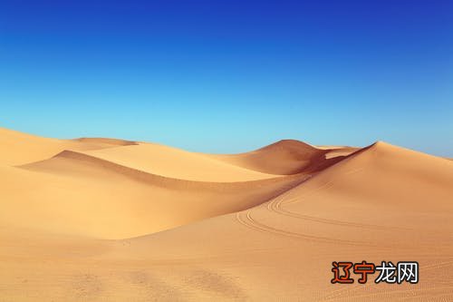 组图 如何解释女人梦见鳝鱼是什么意思呢?