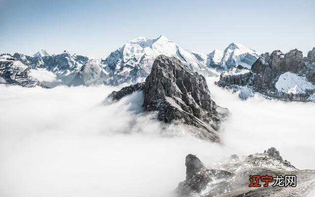 生肖配对查询表 属相_2014生肖属相_12生肖属相配对