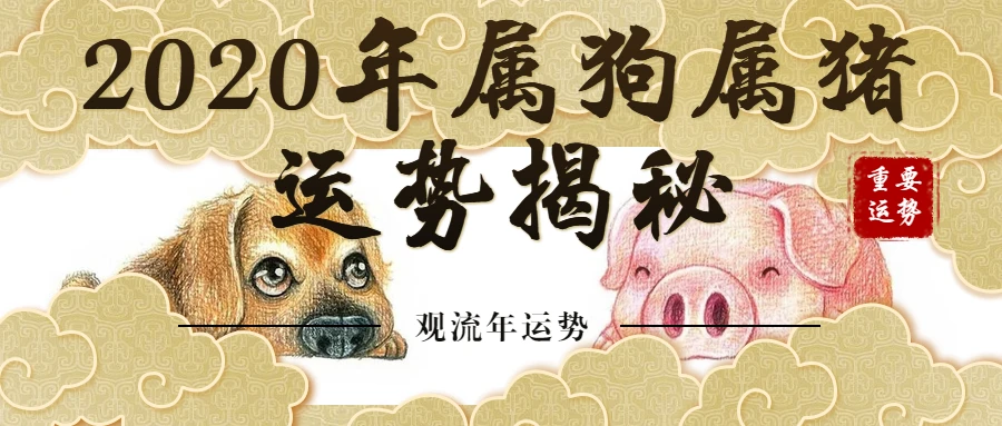 给狗占卜_占卜爱情_通灵占卜和塔罗占卜的区别