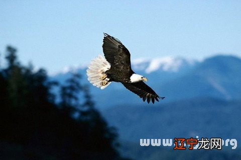 女人在天上飞，速度超快，一会高空一会低飞，一定要按步就班